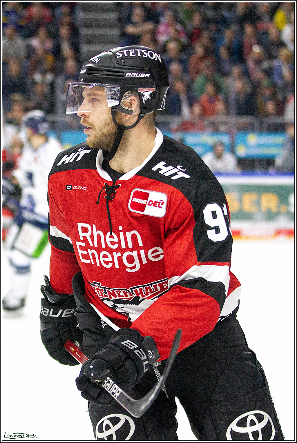 PENNY DEL;  Koelner Haie - Straubing Tigers; Koeln, 15.10.2021